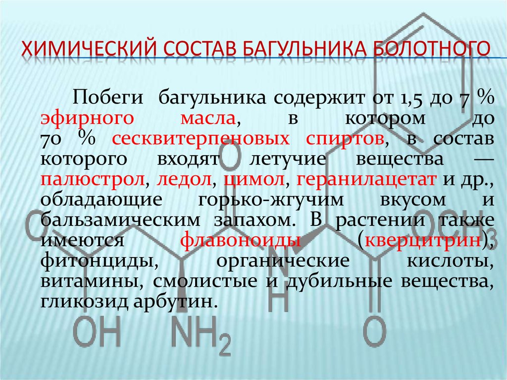 Химический состав багульника болотного