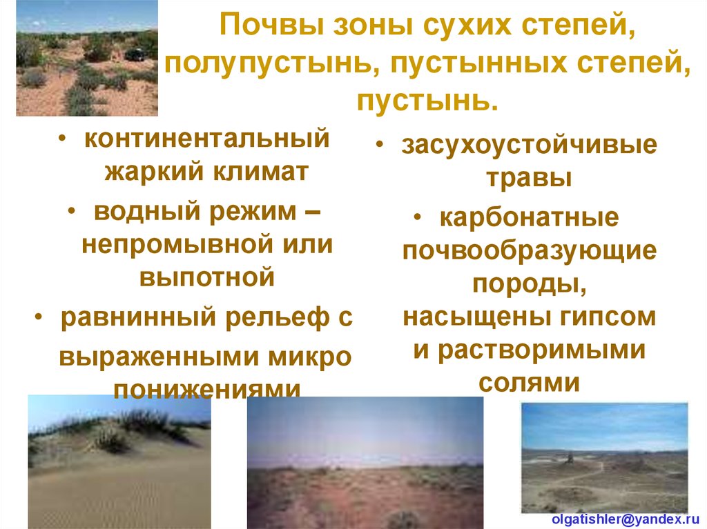 Особенности полупустынь в россии. Сухие степи и полупустыни. Почвы зоны сухих степей. Полупустыни и пустыни почвы. Природные условия пустыни и полупустыни.