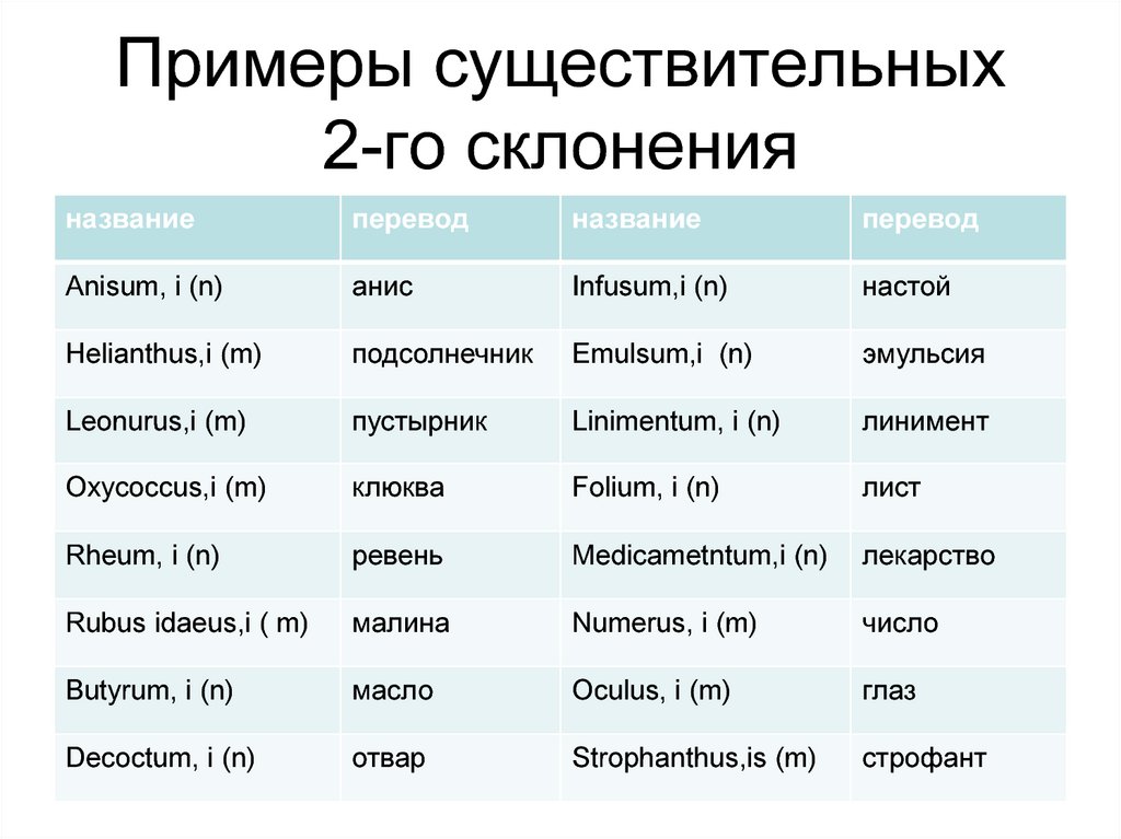 Укажите существительное. Существительные 2 склонения латынь. 2 Склонение существительных примеры.