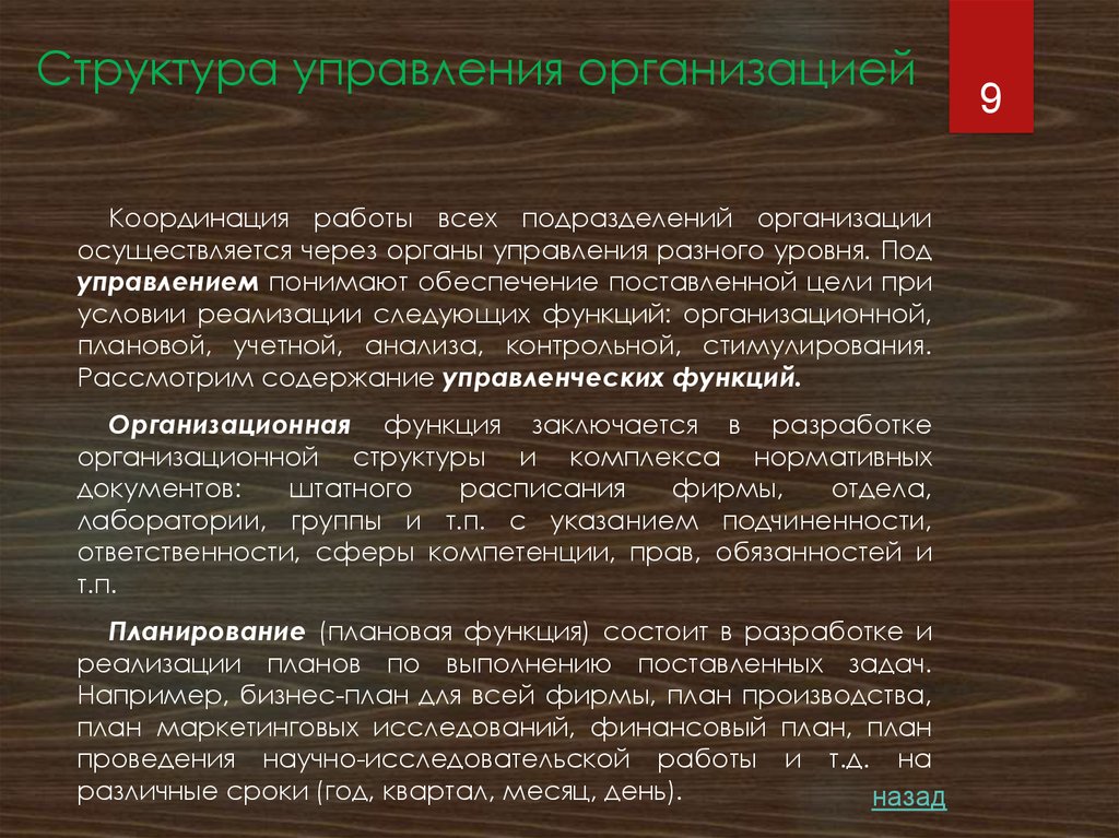 Структура управления организацией