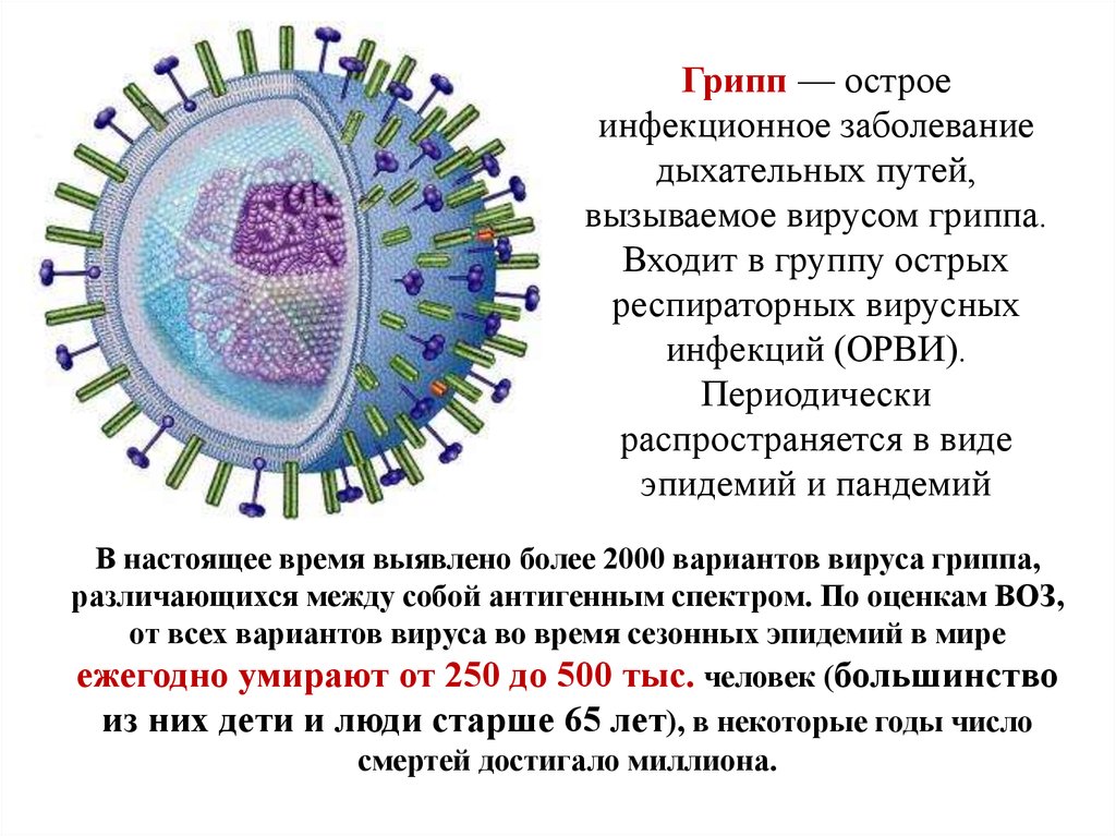 Проводится гриппа. Профилактика вируса гриппа. Вирус гриппа презентация. Заболевание которое вызывает вирус гриппа. Вирус гриппа и коронавирус.