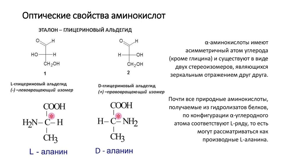 Оптические свойства аминокислот