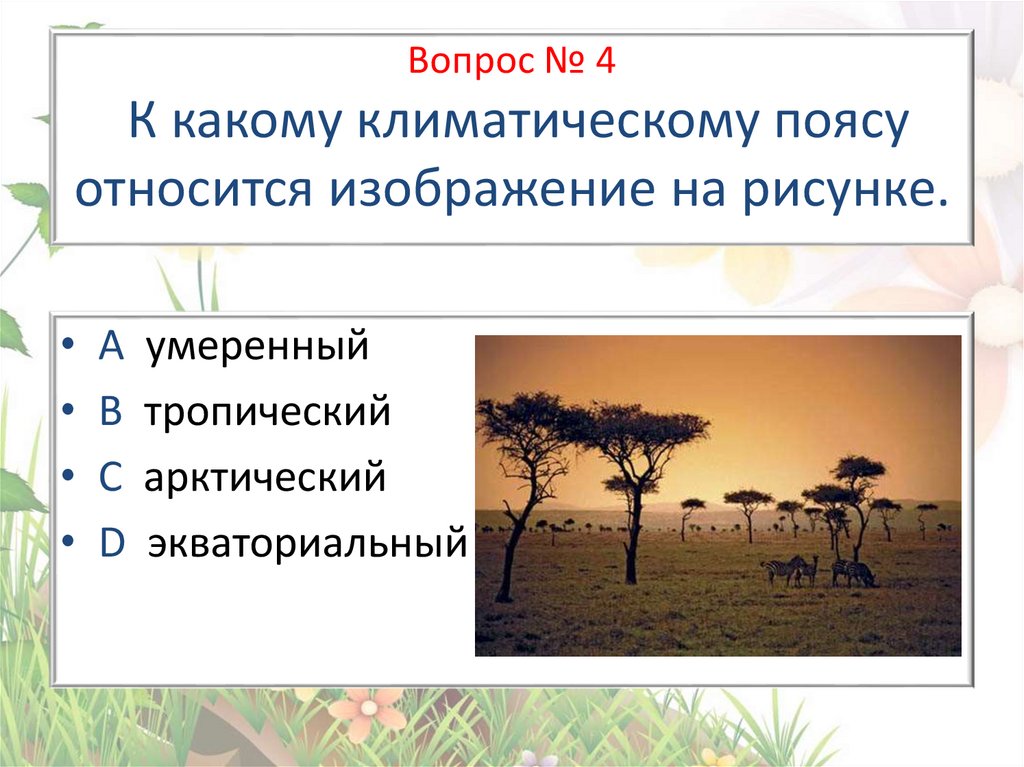 К какому жанру относится изображение повседневной жизни