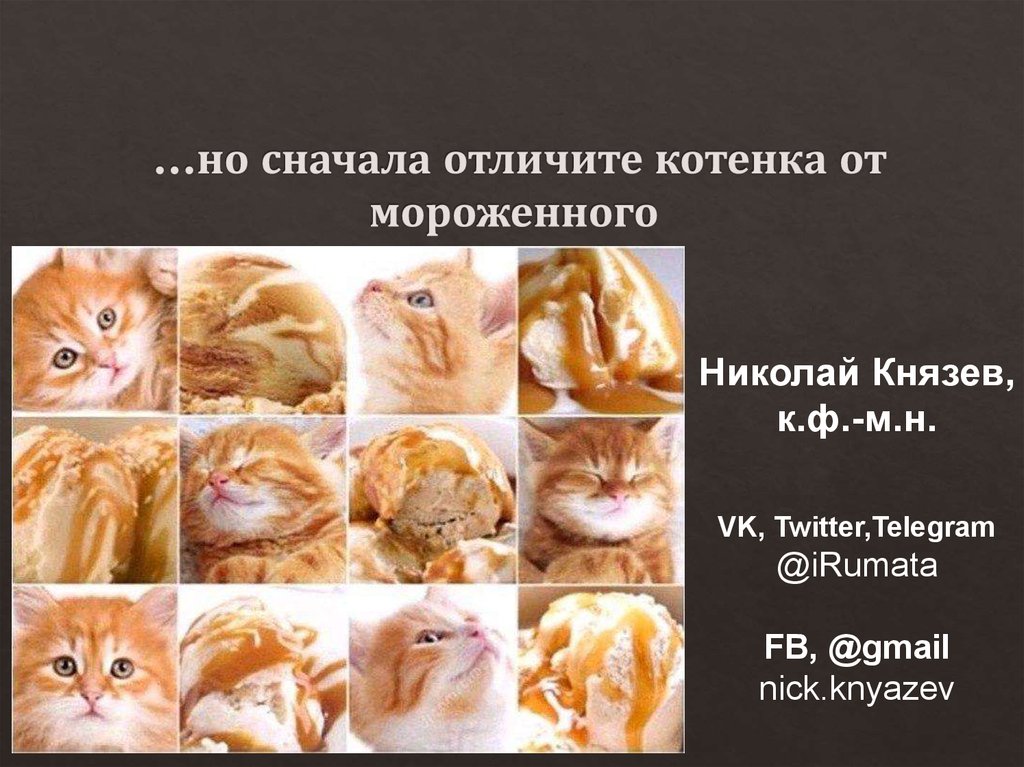…но сначала отличите котенка от мороженного