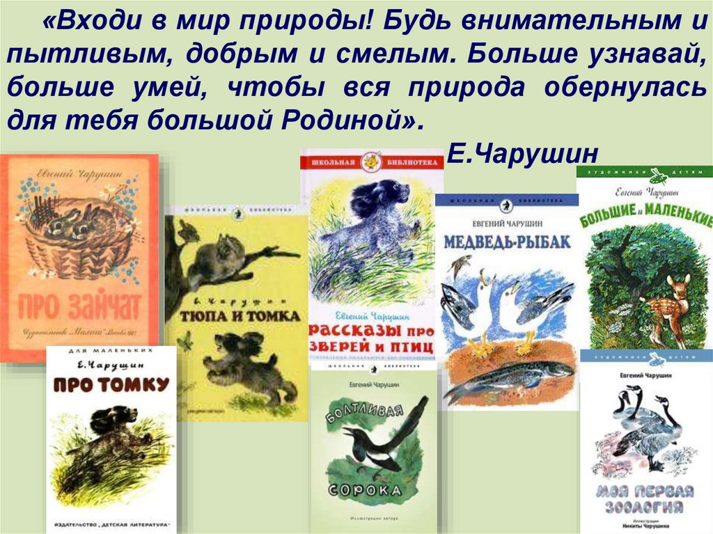 Произведение страшный рассказ. Чарушин мир природы. Чарушин входи в мир природы. Чарушин рассказы 2 класс литературное чтение. Чарушин рассказы о природе.