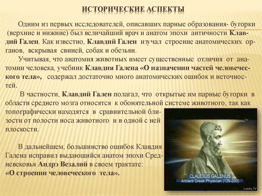 Нижний суть. Исторический аспект. Исторические аспекты реабилитации. Исторический аспект образования. Исторические аспекты в исследовании.