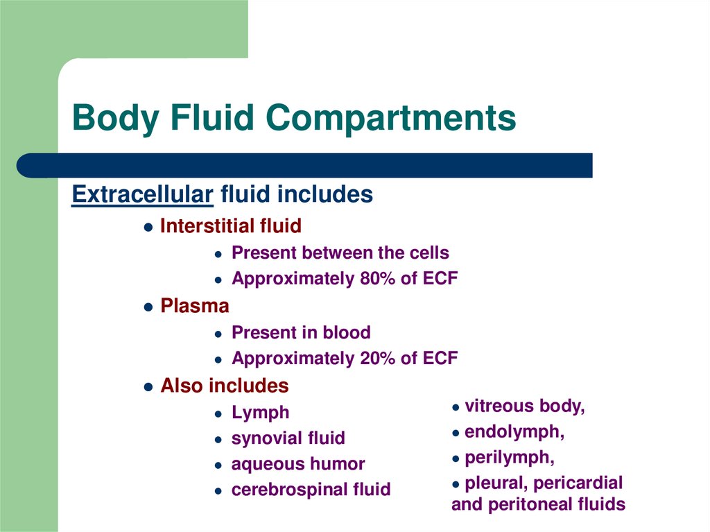 figure 5.1d body fluid compartments
