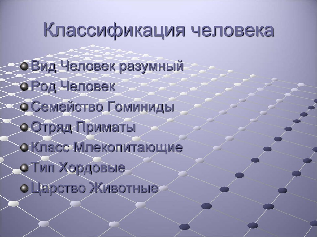 Систематика человека презентация