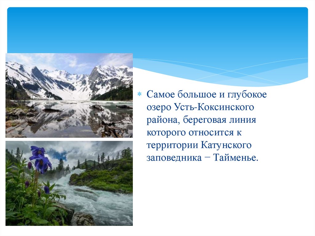 Где находится катунский заповедник. Катунский заповедник презентация. Горы Алтайского края. Алтайские горы презентация. Катунский заповедник где находится.