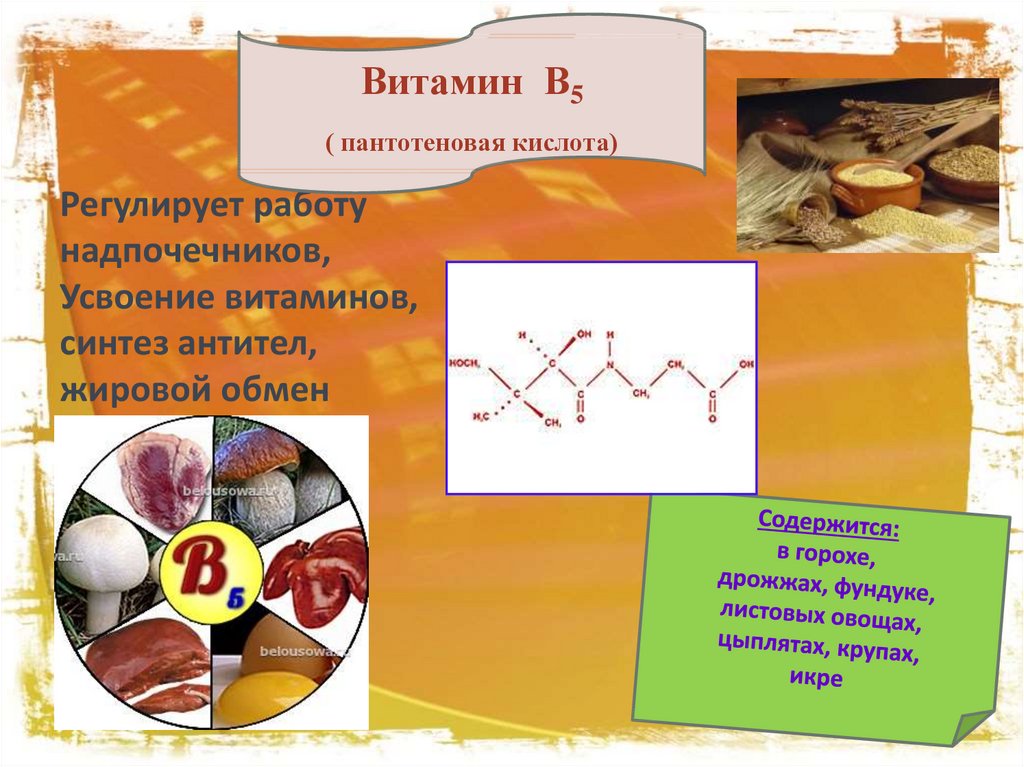 Нуклеиновые кислоты витамины. Витамин б5 никотиновая кислота. Пантотеновая кислота витамин. Витамин в5 никотиновая кислота. Витамин в3 пантотеновая кислота.