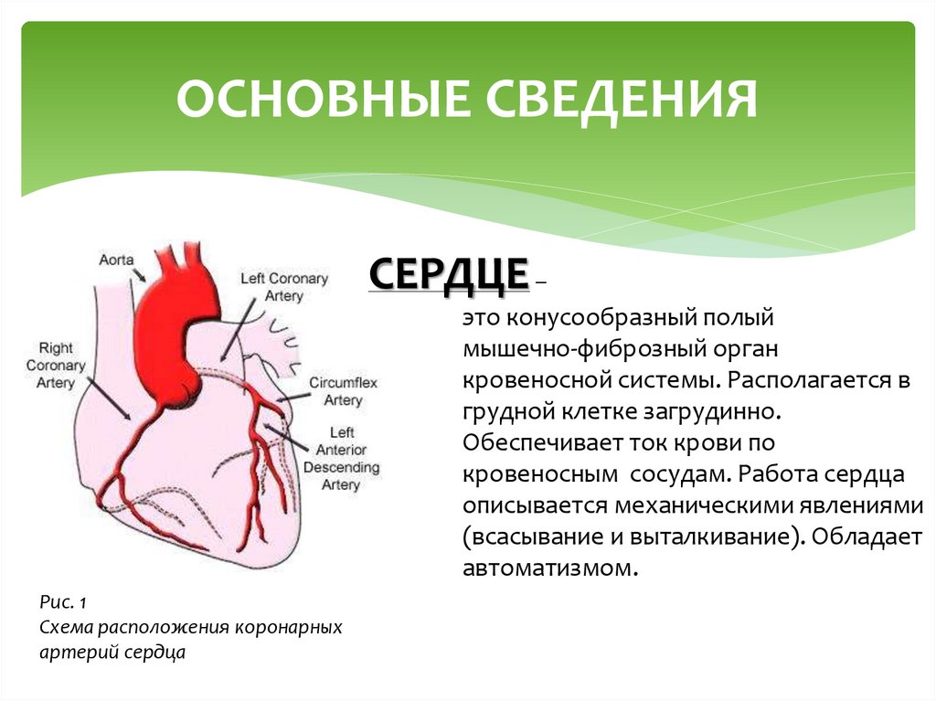 Проект болезни сердца