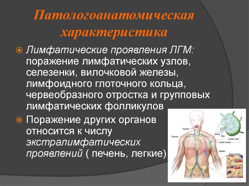 Лимфогранулематоз онкология презентация