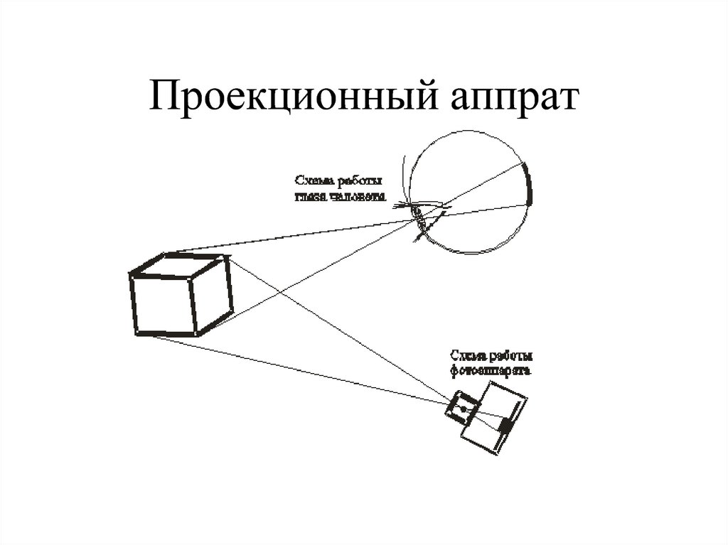 Как называется построение изображения трехмерных объектов и сцены