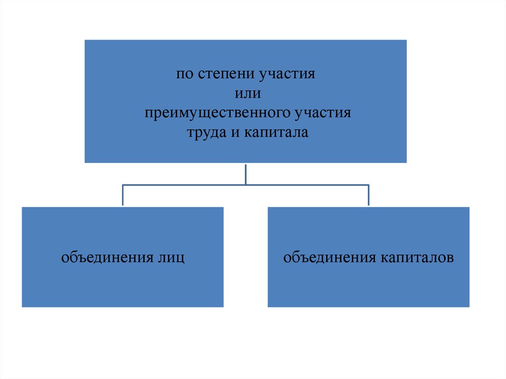 Юр лица презентация