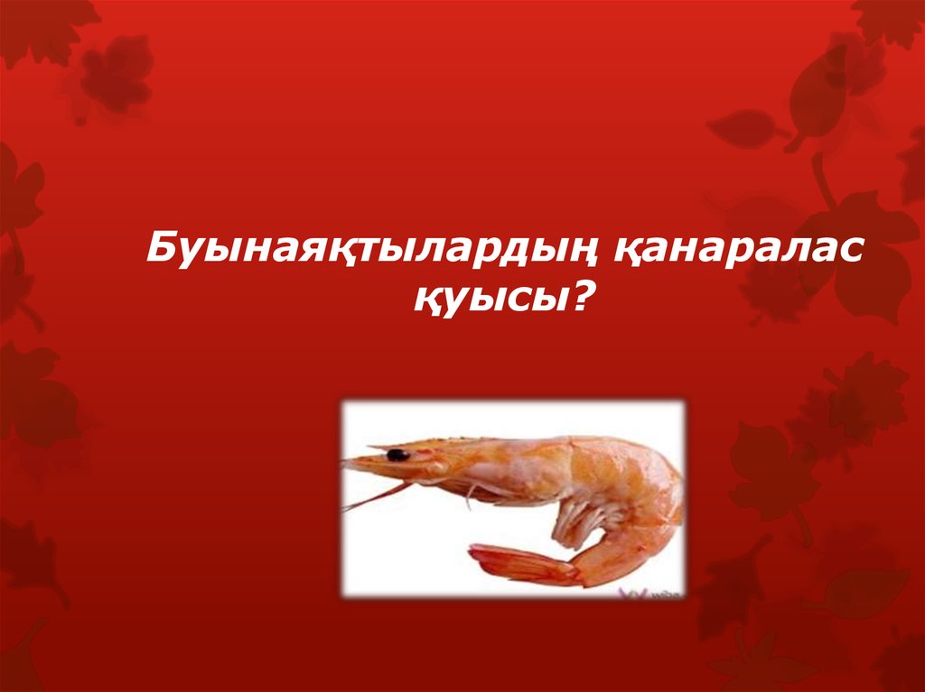 Буынаяқтылардың қанаралас қуысы?