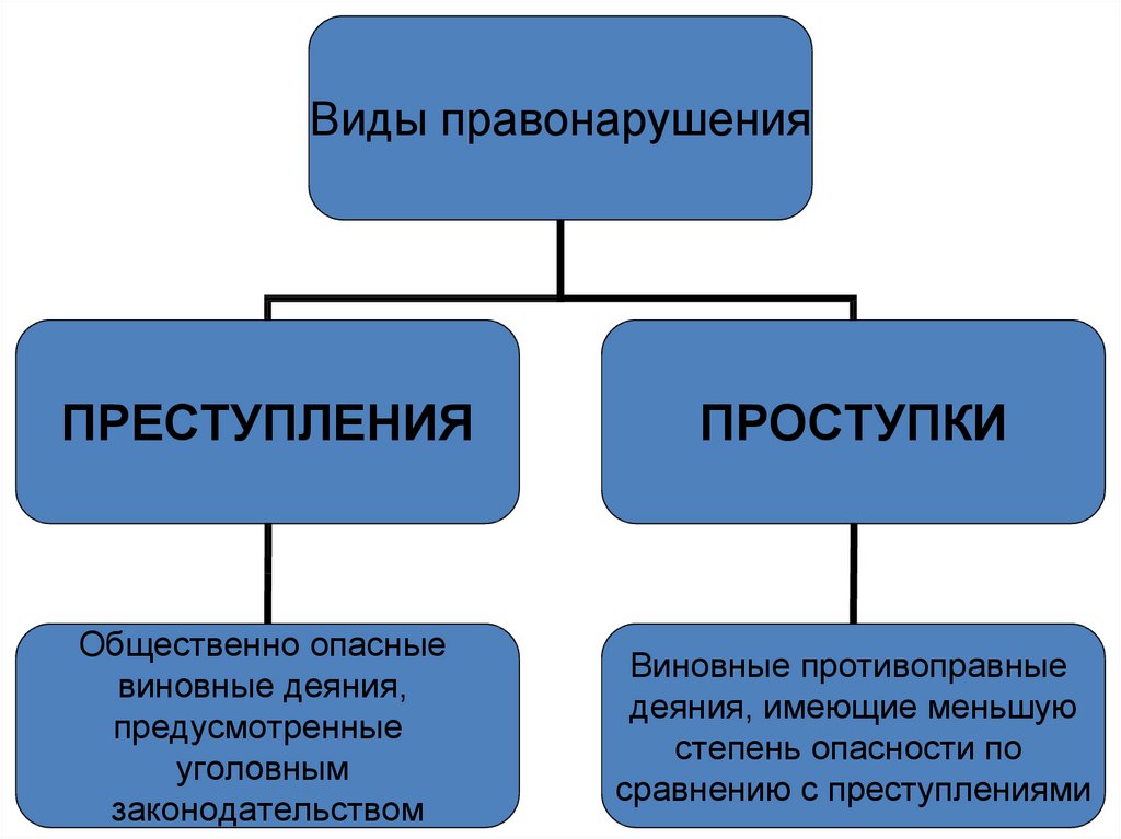 Проект правоотношения и правонарушения