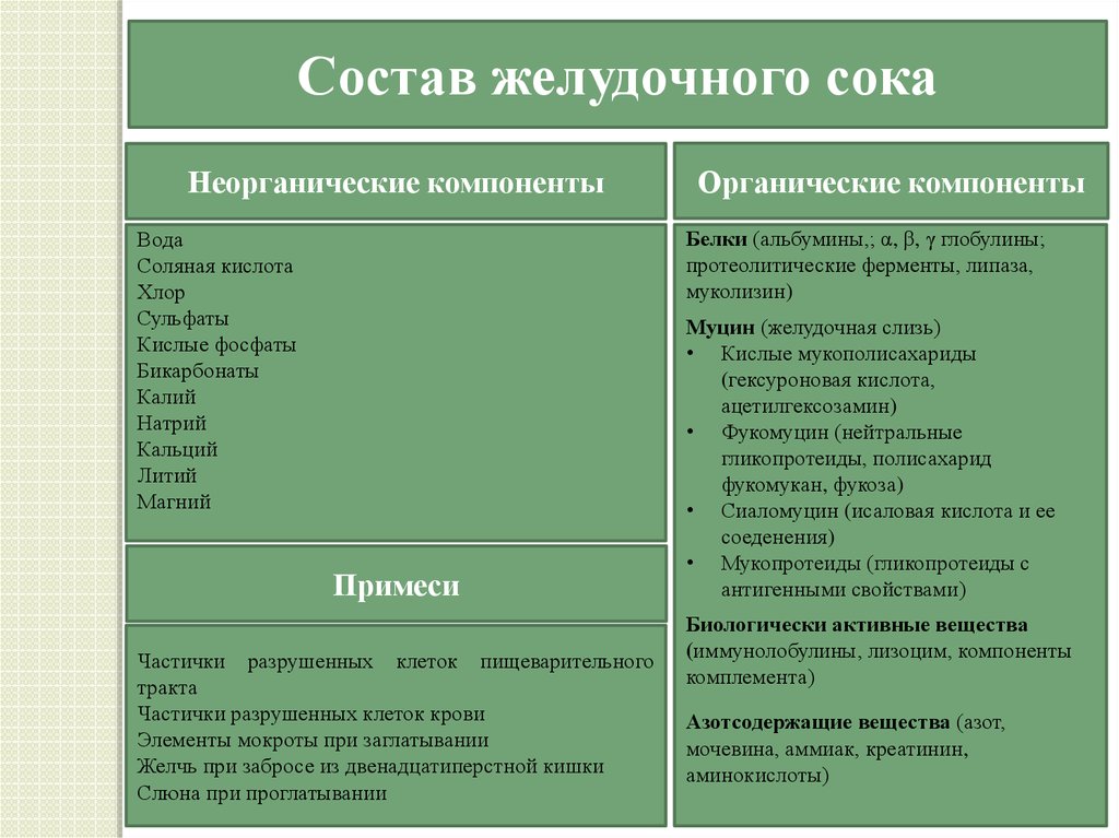 Состав желудочного сока ферменты. Состав желудочного сока неорганические компоненты. Органические компоненты желудочного сока. Состав желудочного сока компонент. Функции основных компонентов желудочного сока.