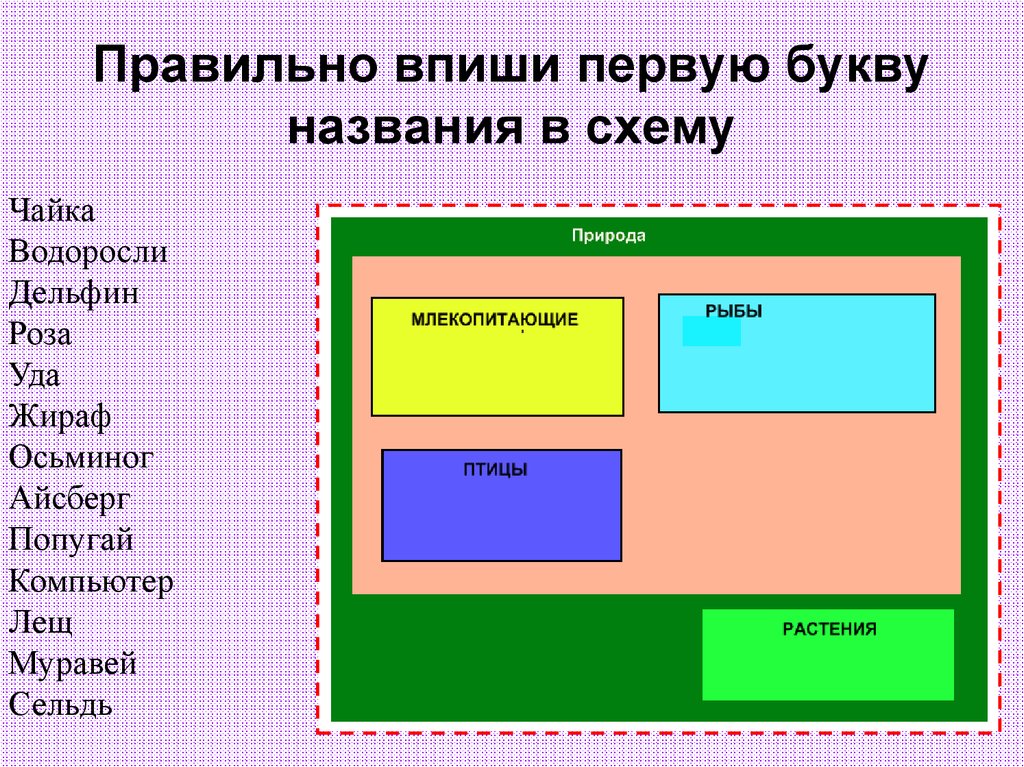 Впиши правильный. Схема Чайка 1 класс. Впишите первые буквы множеств цветов. Впиши правильно название множеств. Впишите первые буквы названий.