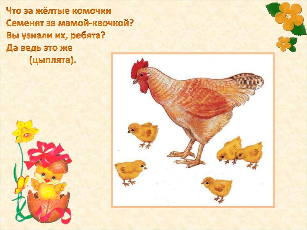 Цыпленка 1 класс