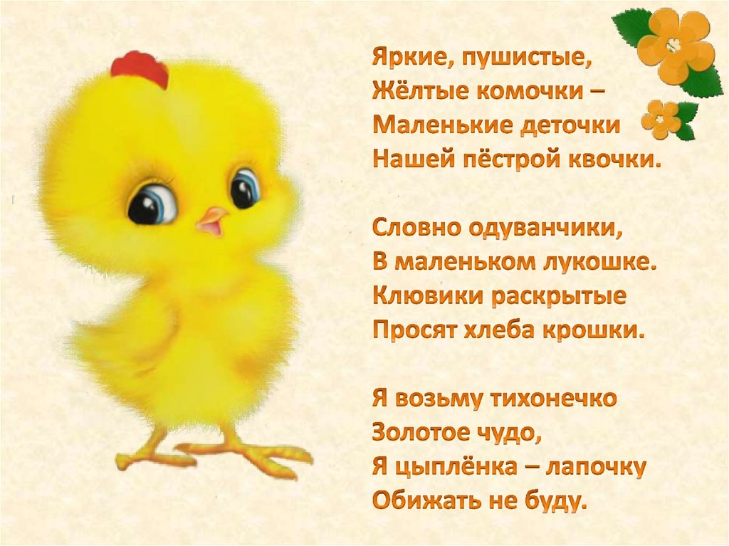Стих про цыпленка. Загадка про цыпленка для детей. Стих про цыпленка для детей. Короткий стих про цыпленка. Цыпленок для детей.