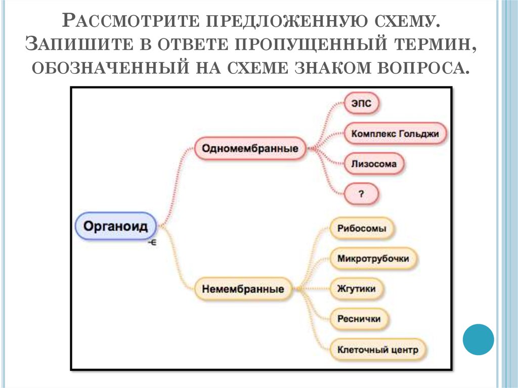 Пропущенный термин