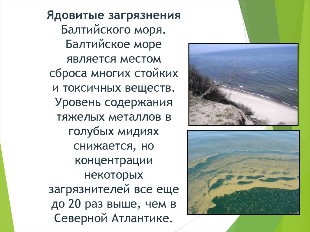 Ядовитые загрязнения Балтийского моря. Балтийское море является местом сброса многих стойких и токсичных веществ. Уровень