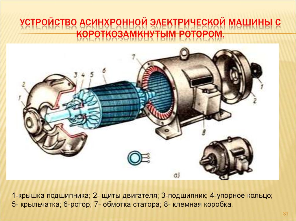 Ротр. Схема статор асинхронного двигателя с короткозамкнутым. Схема электрическая короткозамкнутого асинхронного двигателя. Устройство асинхронного двигателя с короткозамкнутым ротором. Устройство асинхронного двигателя с короткозамкнутым ротором схема.