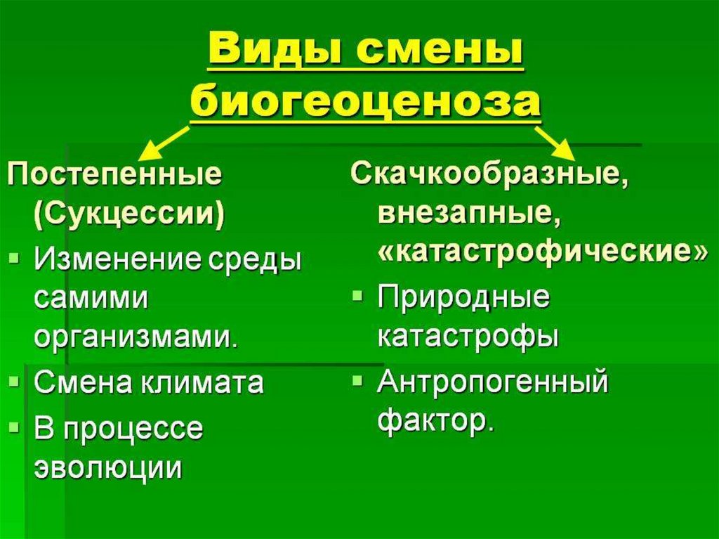 Смена природных сообществ презентация