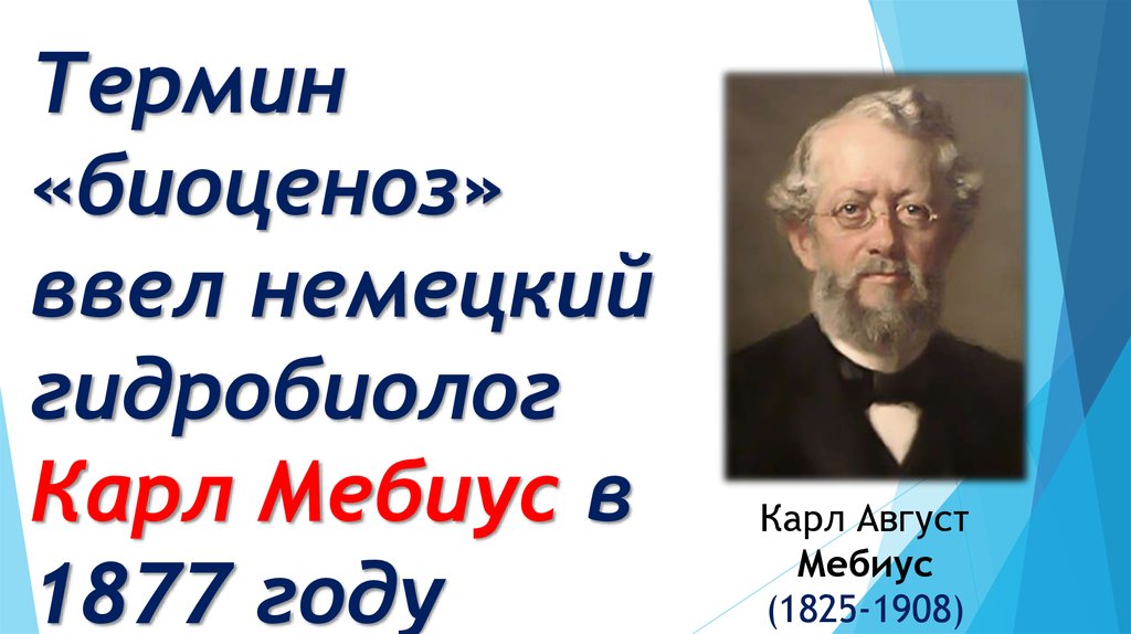 Термин биоценоз ввел. Карл август Мёбиус (1825 - 1908). Карл Мебиус биоценоз. Карл Мёбиус (1877. Карл август Мебиус презентация.