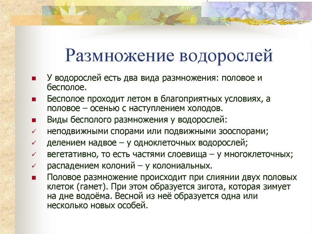 Водоросли размножаются. Размножение водорослей. Размножение водорослей 7 класс. Водоросли размнржаютс. Размножение водорослей кратко.