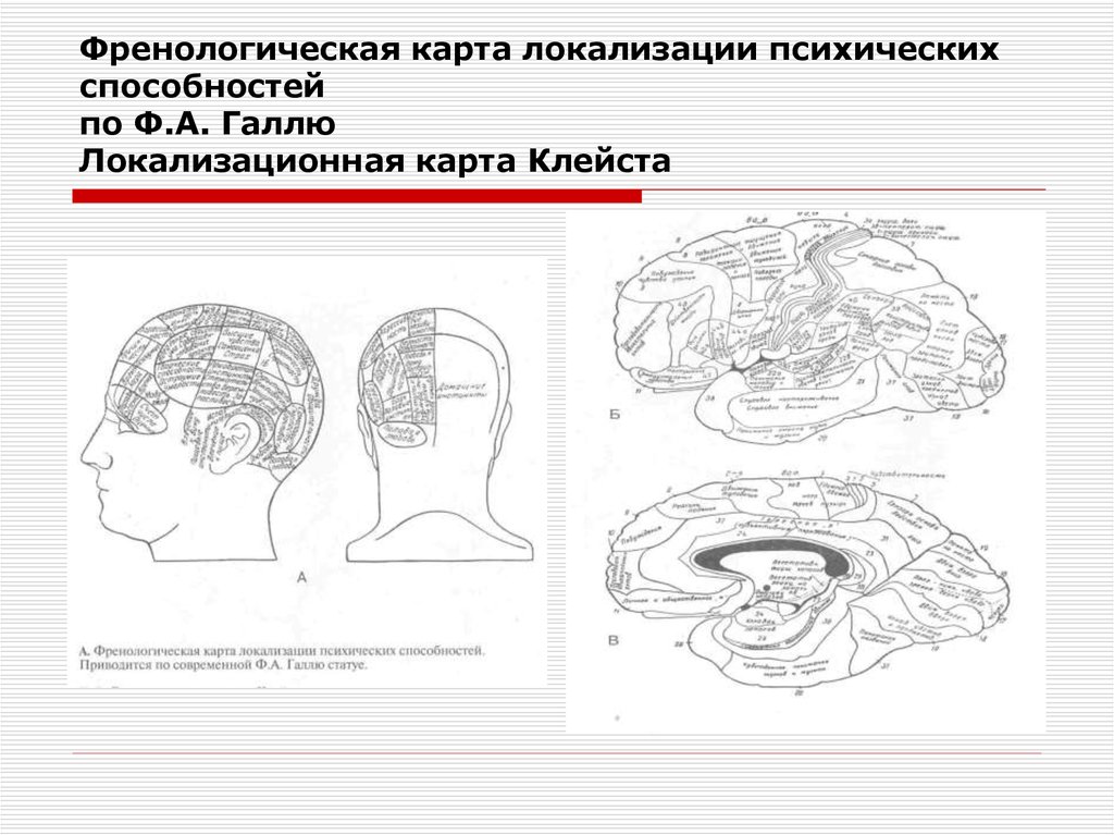 Схема тела нейропсихология