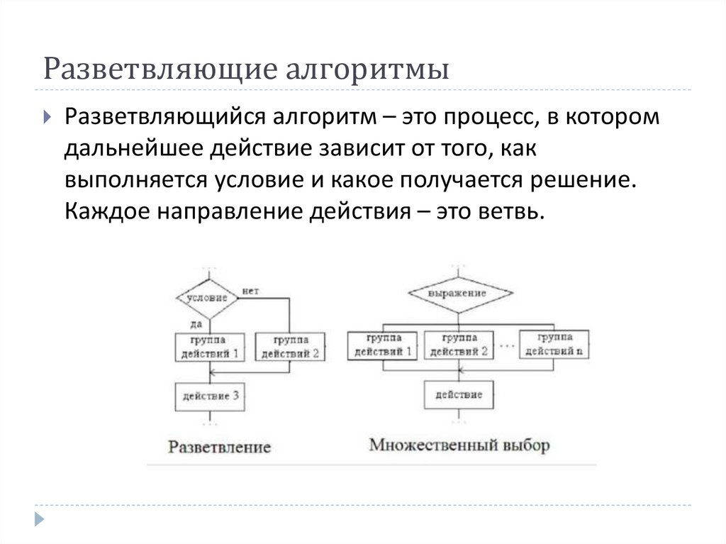 Линейные разветвляющиеся алгоритмы