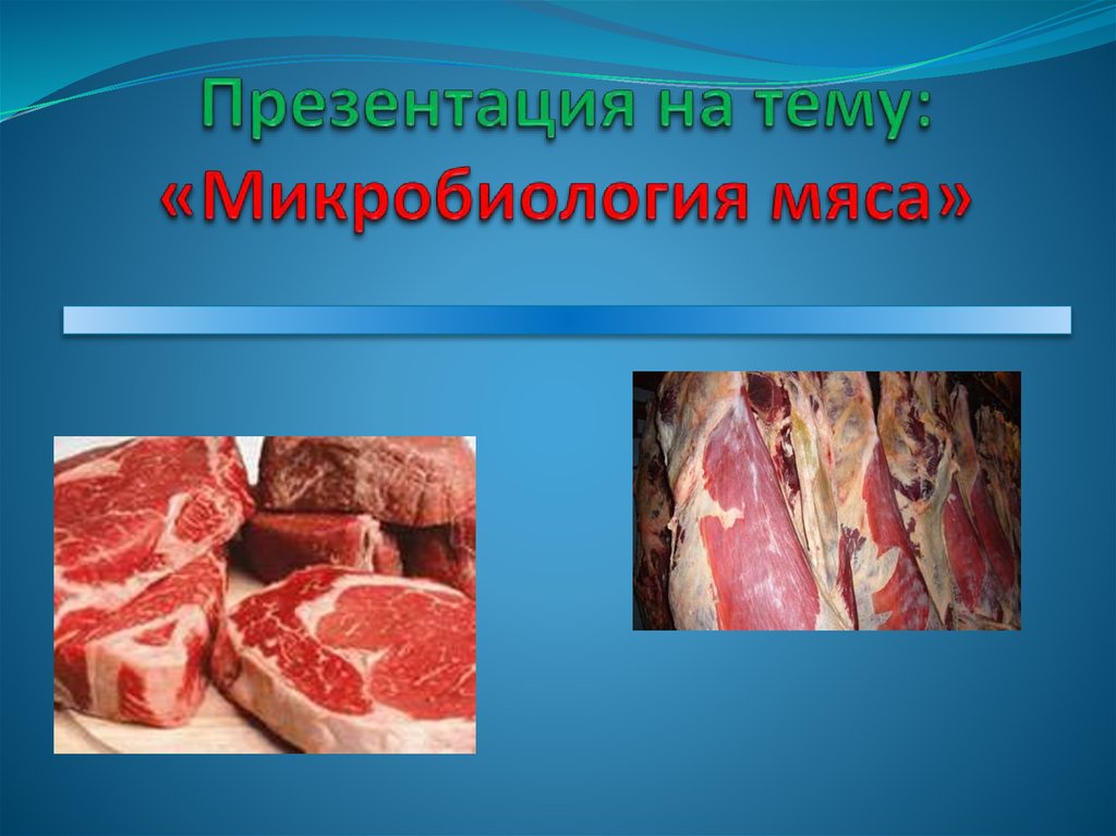 Презентация на тему: «Микробиология мяса»