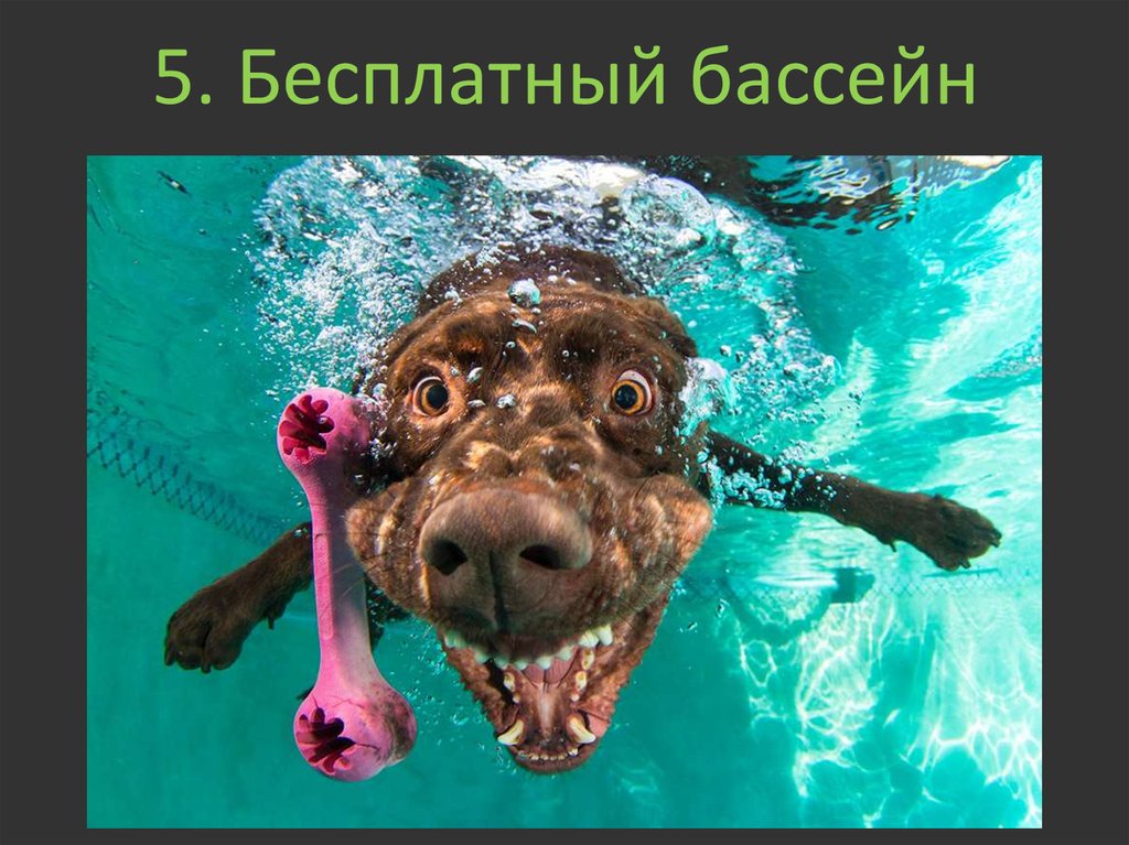 5. Бесплатный бассейн