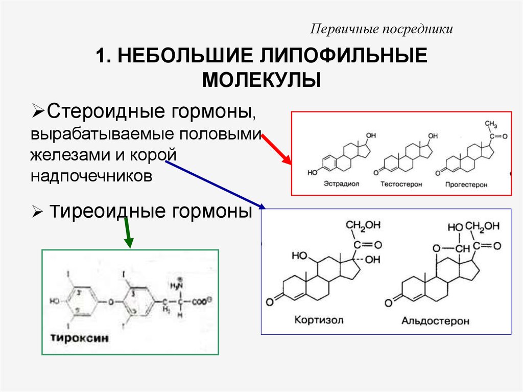 Молекулы доноры. Липофильные соединения. Липофильные сигнальные молекулы. Примеры липофильных сигнальных молекул. Рисунок на котором изображена железа вырабатывающая гормон тироксин.