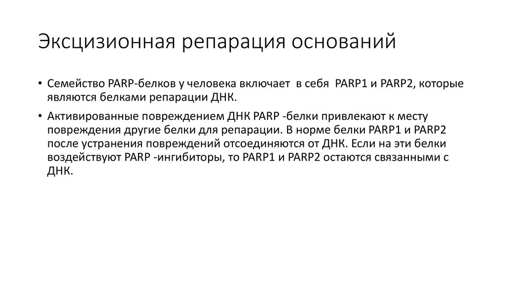 Эксцизионная репарация оснований