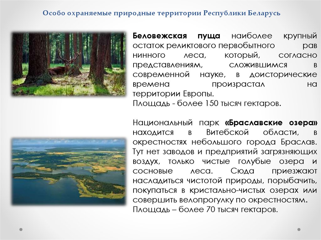 Любой вид особо охраняемых природных территорий. Особо охраняемые природные терр. Особоохроняемые природные территории. Особо охраняемые природные территории Белоруссии. Особо охраняемые природные территории (ООПТ).