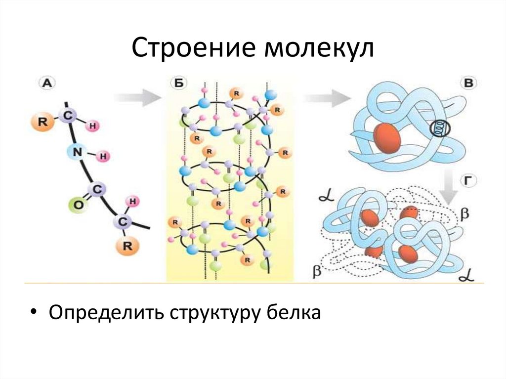 Структурная схема молекулы