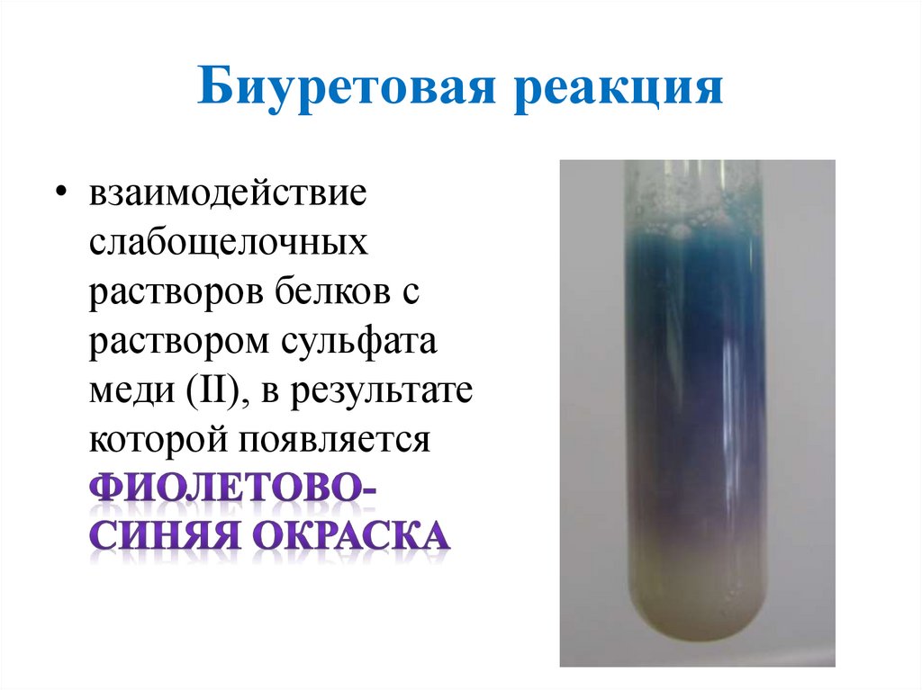 Сульфат меди ii naoh. Реакция биурета с сульфатом меди 2. Реакция Пиотровского биуретовая реакция. Яичный белок + сульфат меди 2. Биуретовая реакция белков реакция.