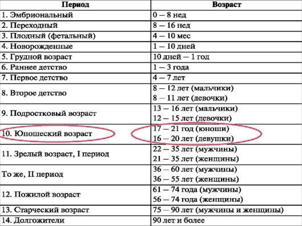 Современная схема возрастной периодизации