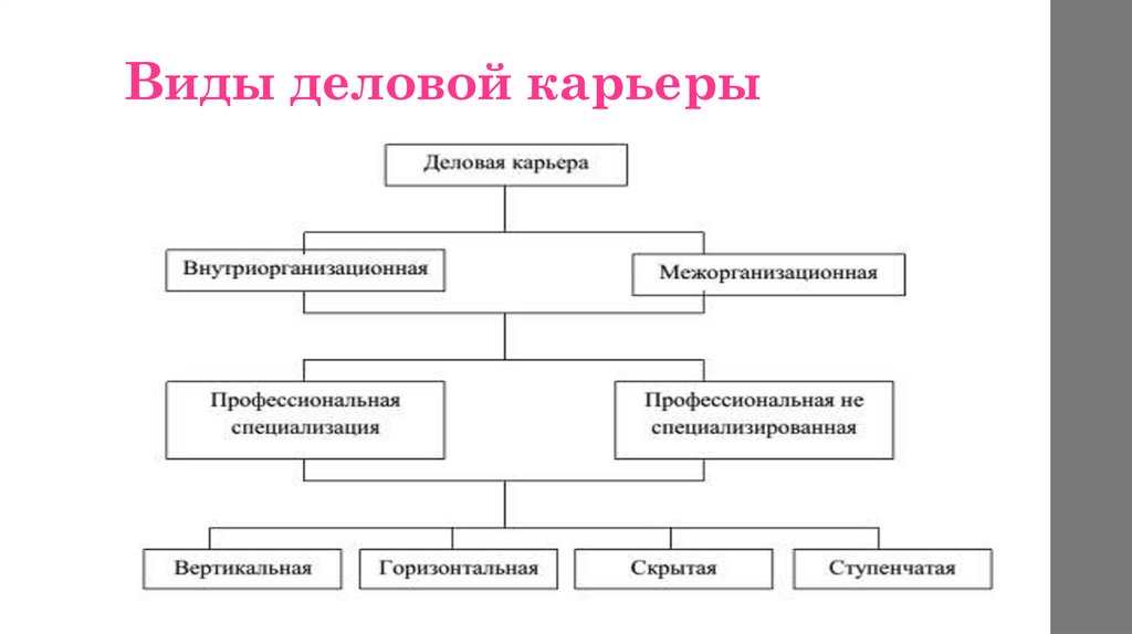 Виды карьеры. Основные типы деловой карьеры. Схема управления деловой карьерой работников организации. Модели деловой карьеры таблица. Виды карьеры схема.