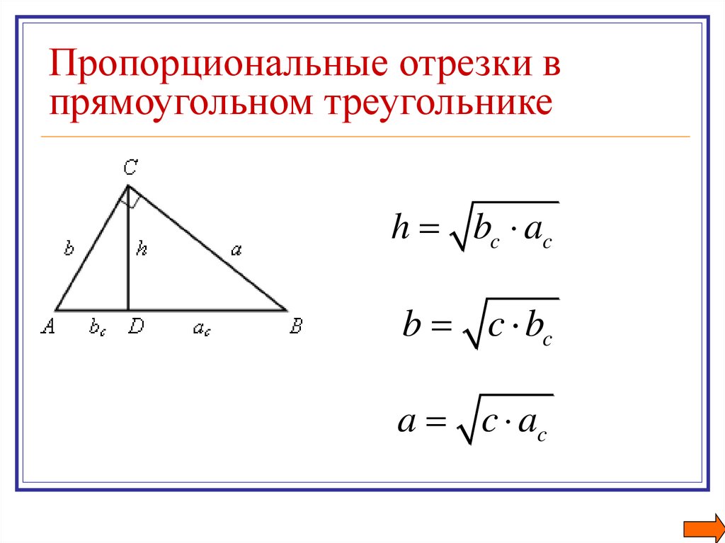 Пропорциональные отрезки рисунок