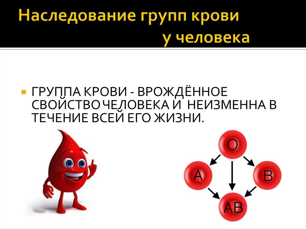 Схема наследования крови