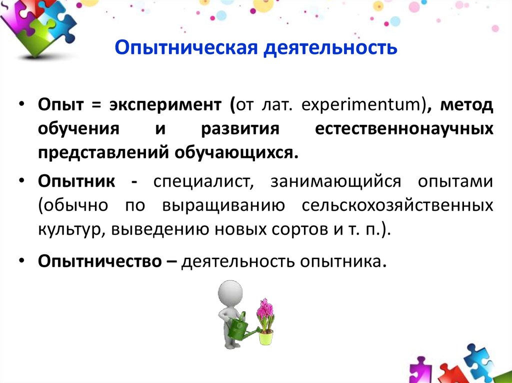 Технологии творческой и опытнической деятельности 7 класс презентация