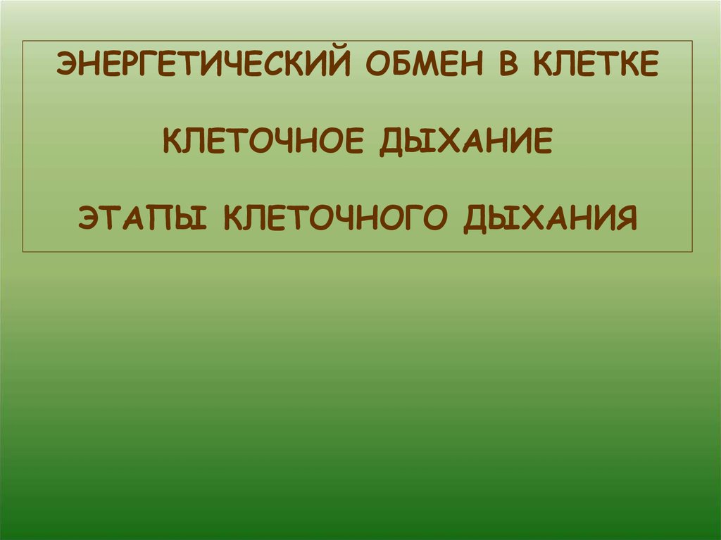 Все живые клетки только дышат. Этапы клеточного дыхания. Клеточное дыхание.