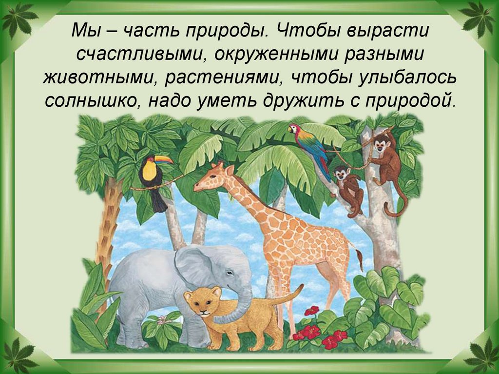 Почему природа друг. Животные часть природы. Мы друзья природы. Презентация друзья природы. Мир природы презентация для детей.