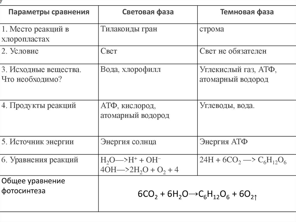 Таблица реакции фотосинтеза