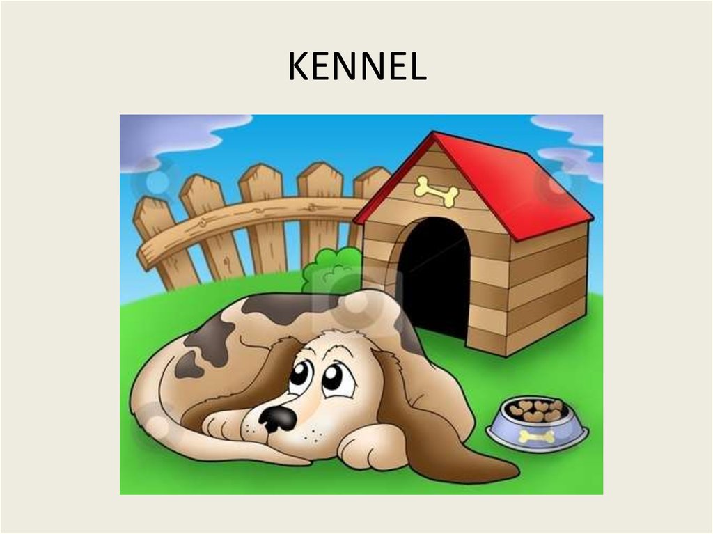 Words with Kk презентация онлайн