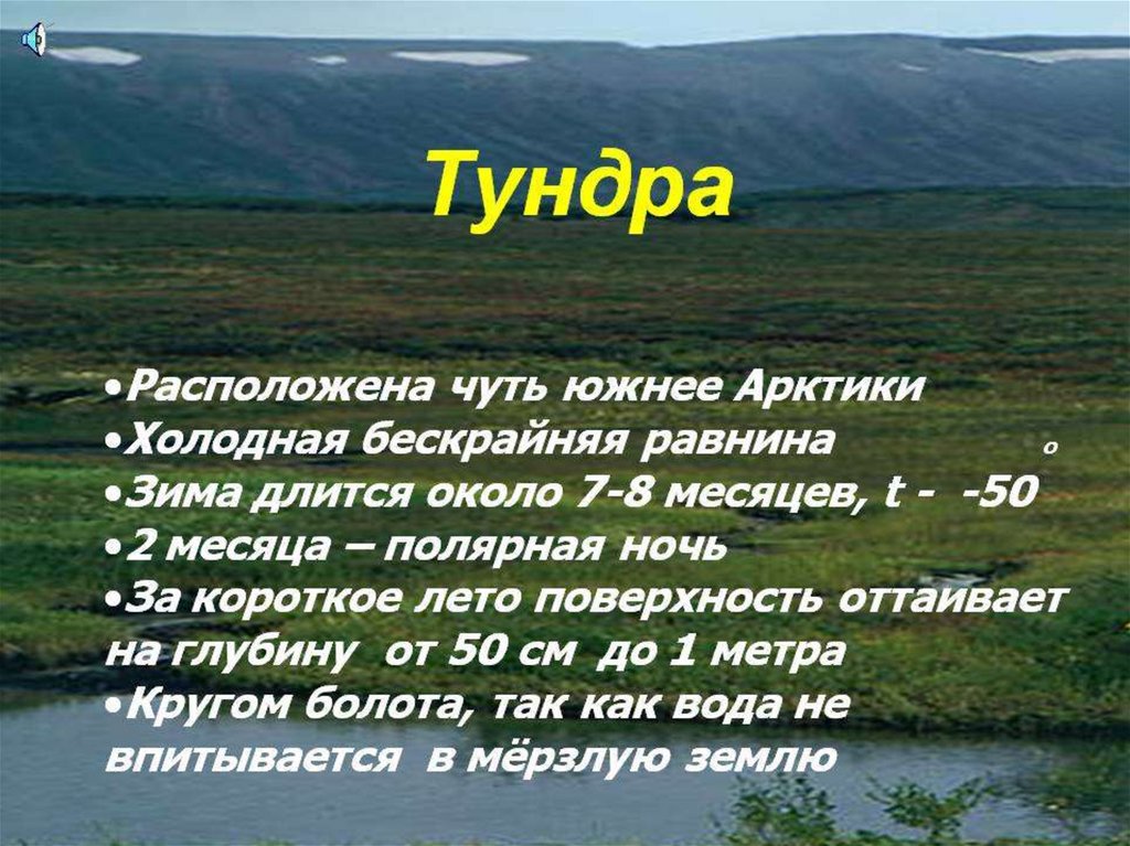 Презентация учение о природных зонах 8 класс презентация