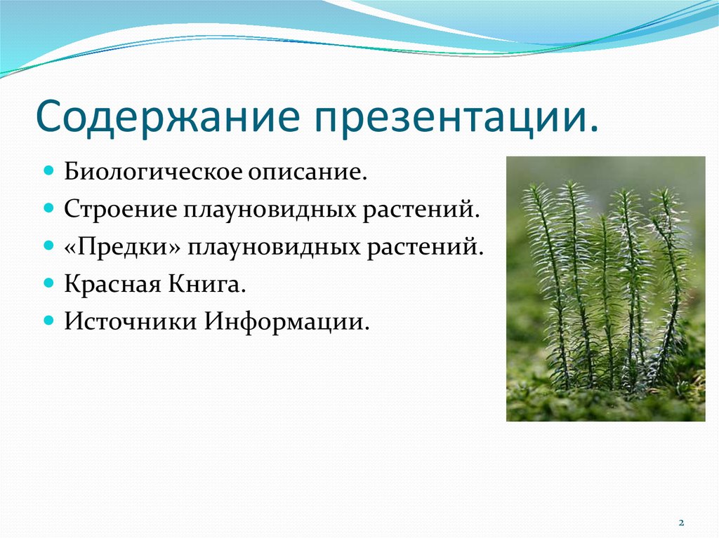 Содержание презентации.